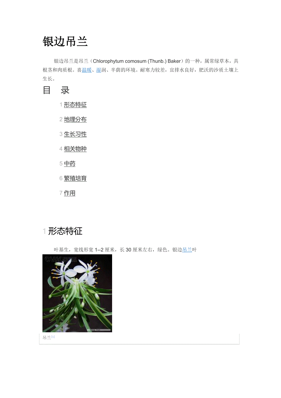 养花- 吊兰、常青藤.docx_第1页