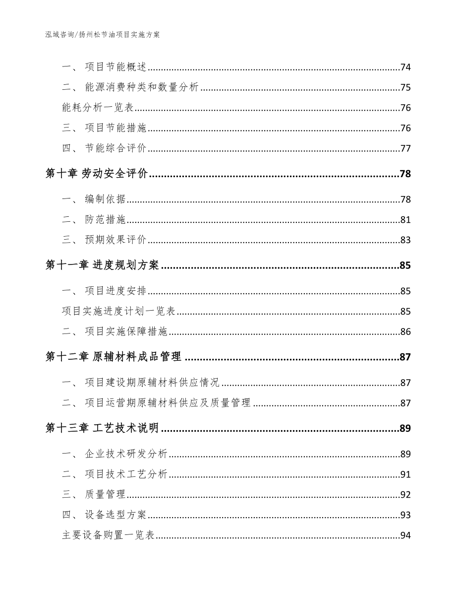 扬州松节油项目实施方案（模板）_第3页