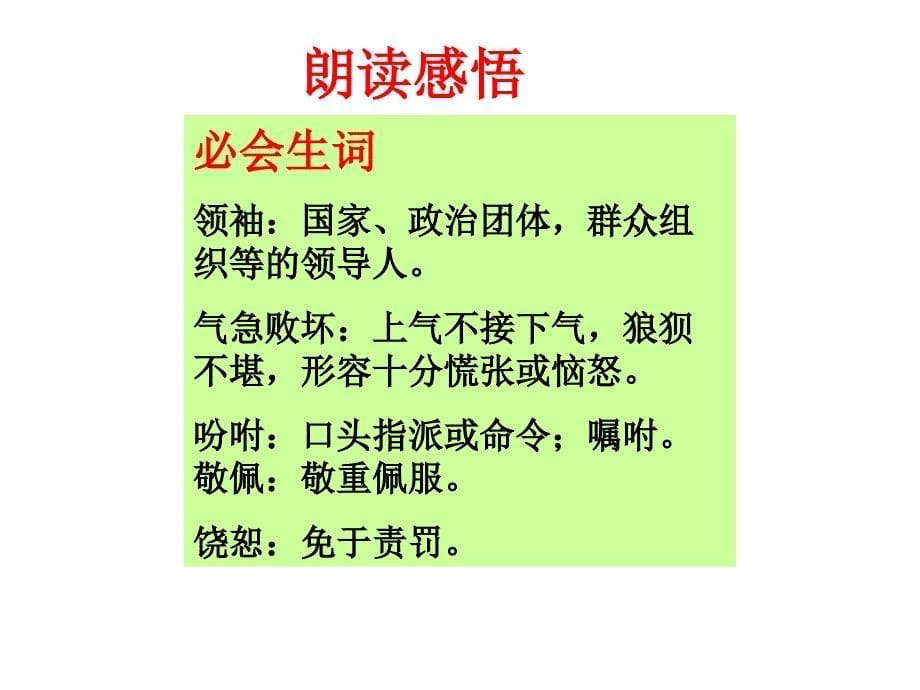 义务教育课程标准实验教科书人教版小学语文四年级下册课件_第5页