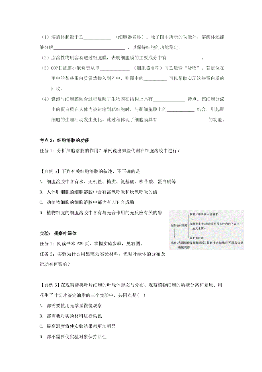 2022年高中生物 第二章 细胞的结构 2.3 细胞质2学案浙科版必修1_第3页