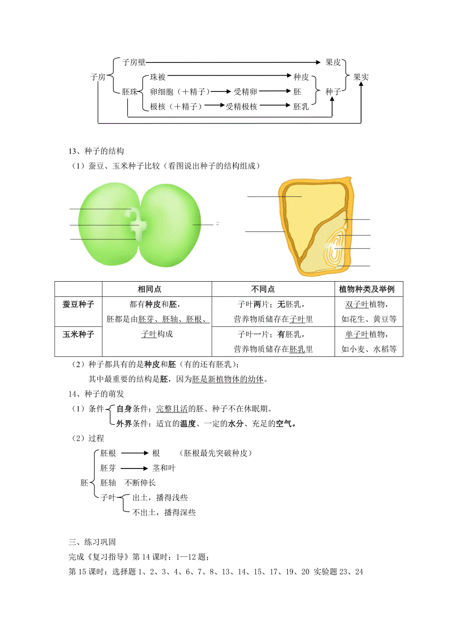 动植物的生殖.doc_第3页