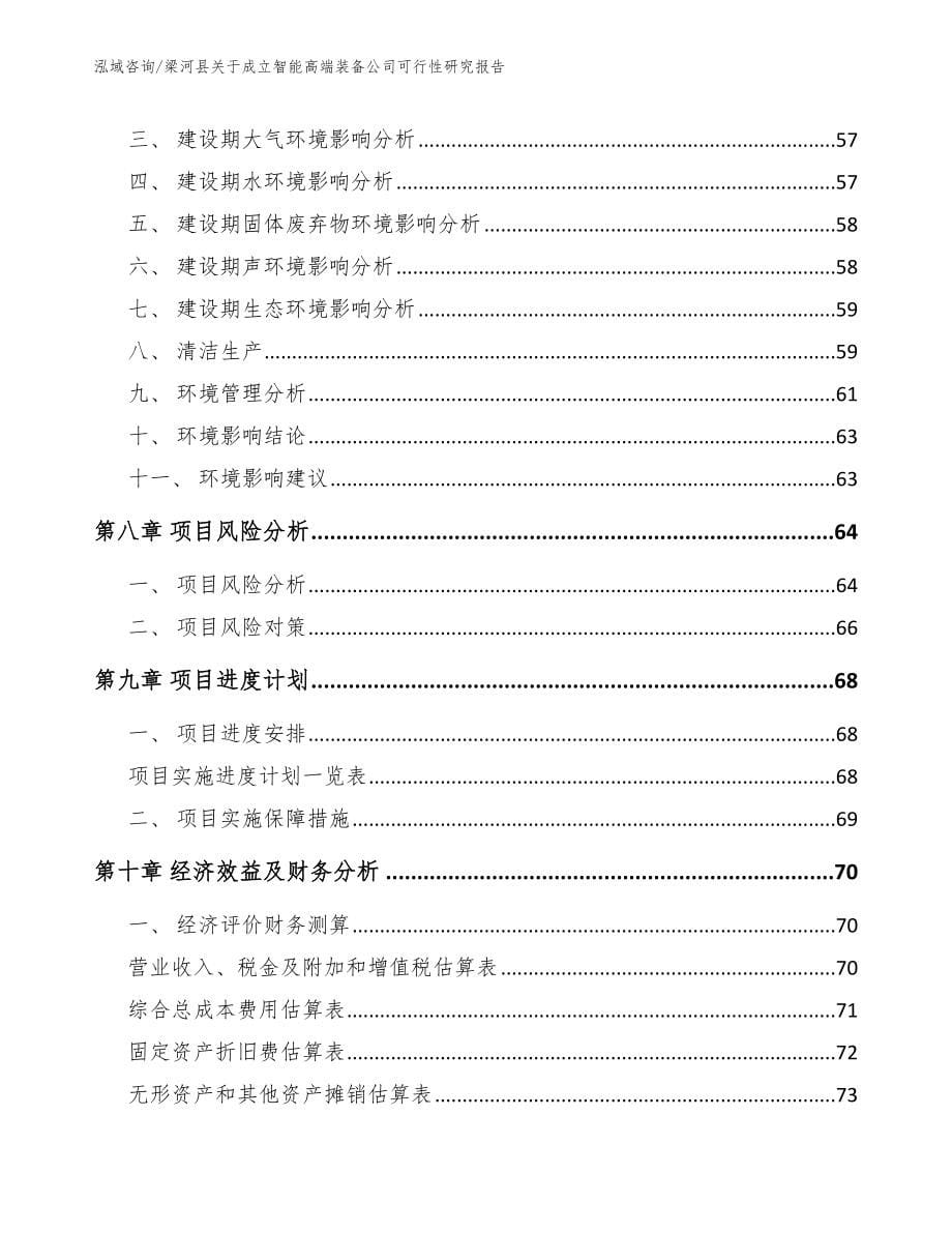 梁河县关于成立智能高端装备公司可行性研究报告（范文模板）_第5页