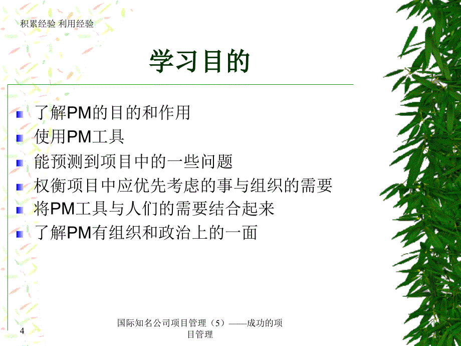 国际知名公司项目管理5成功的项目管理课件_第4页