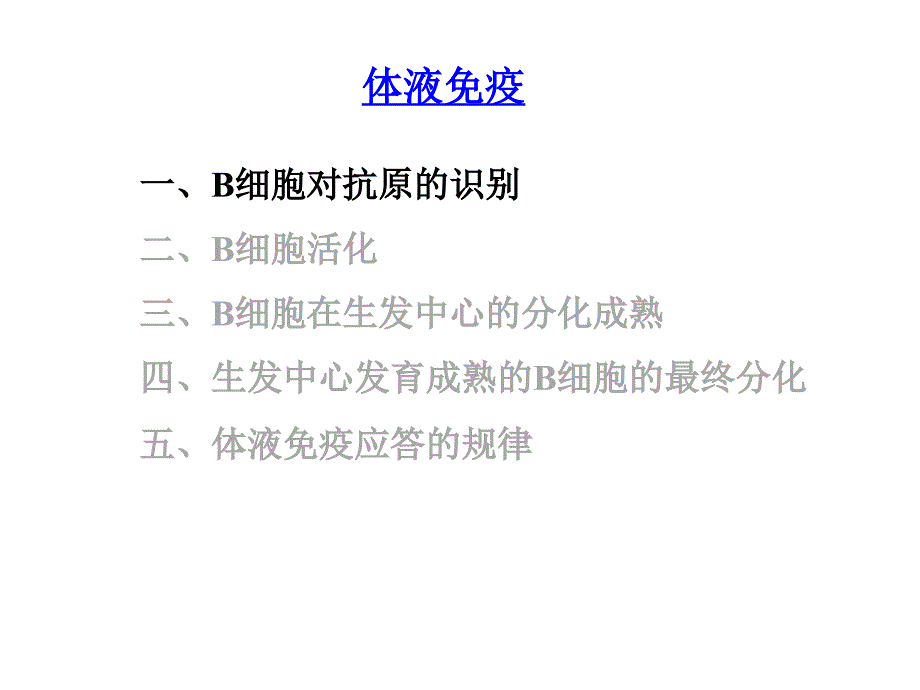 分子免疫学B细胞及其介导的体液免疫应答PPT课件_第2页