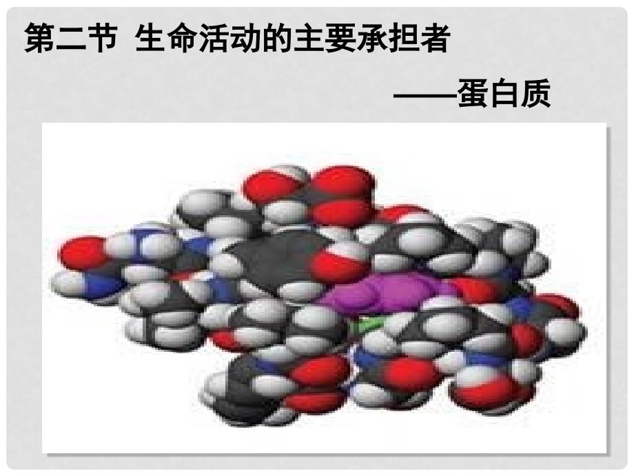 云南省红河州弥勒县庆来学校高一生物《第2章第2节《生命活动的主要承担者——蛋白质2》课件_第1页