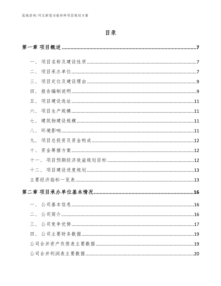 河北新型功能材料项目规划方案_参考模板_第2页