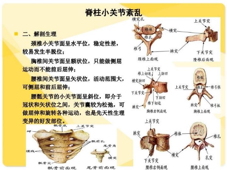 中医推拿治疗脊柱小关节紊乱上课讲义_第3页