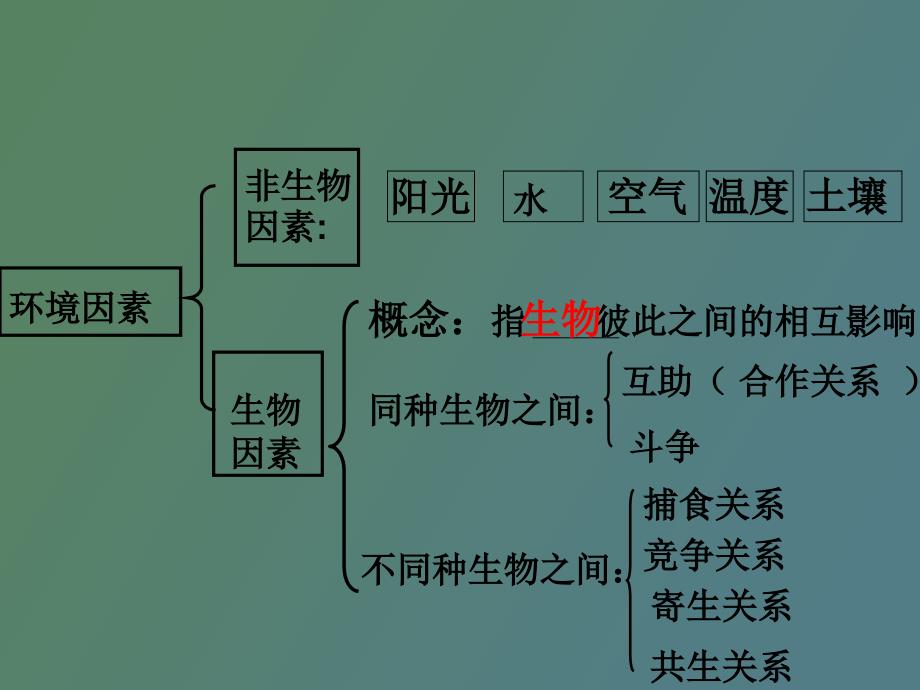 生物对环境的适应和影响_第3页