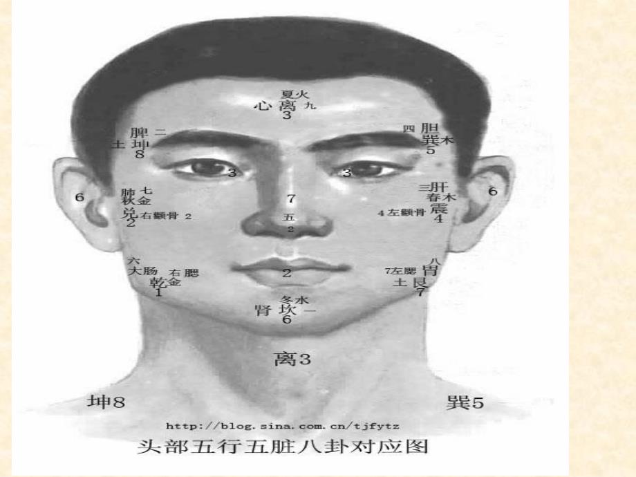 《食品营养学五脏》PPT课件_第4页