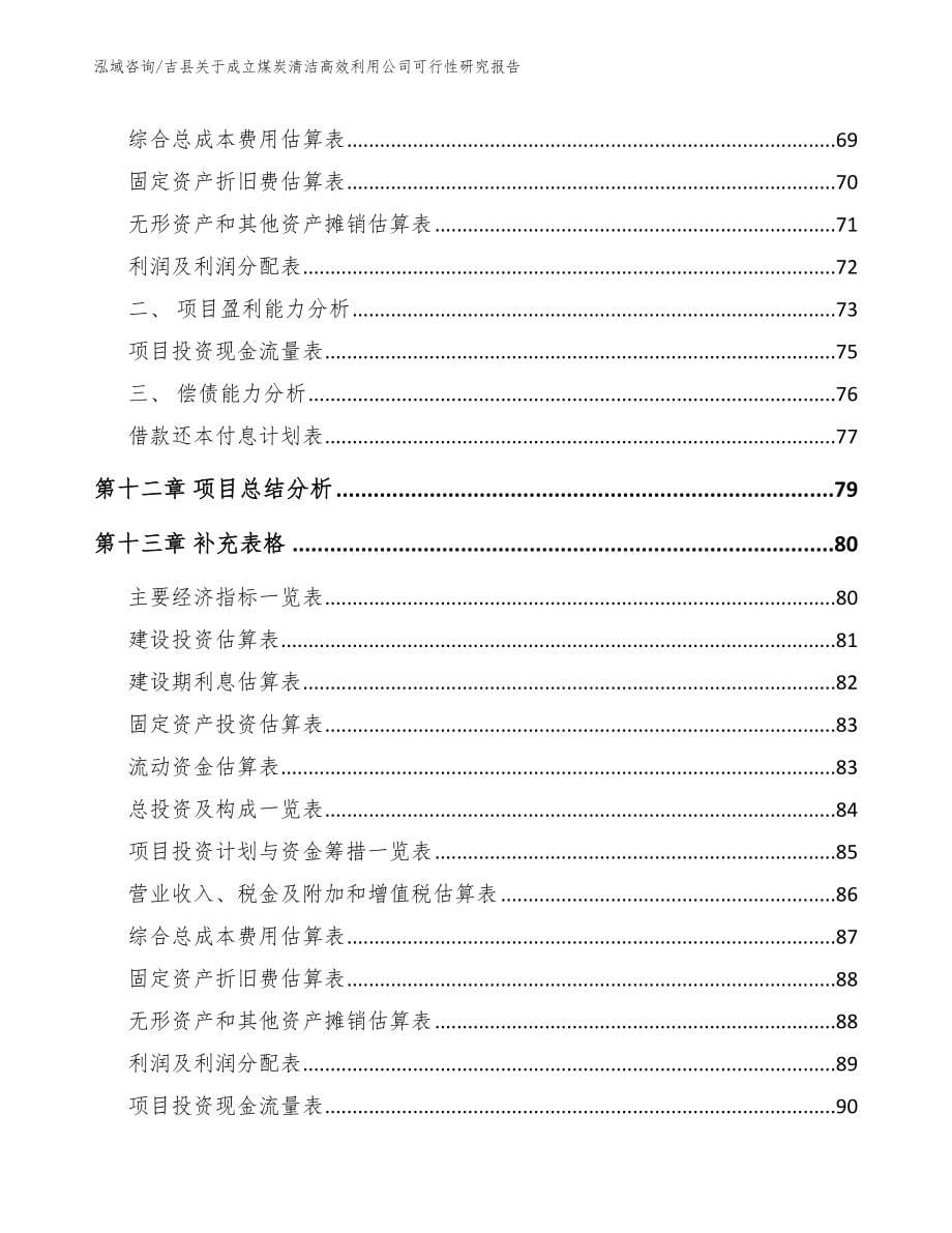 吉县关于成立煤炭清洁高效利用公司可行性研究报告_模板范本_第5页