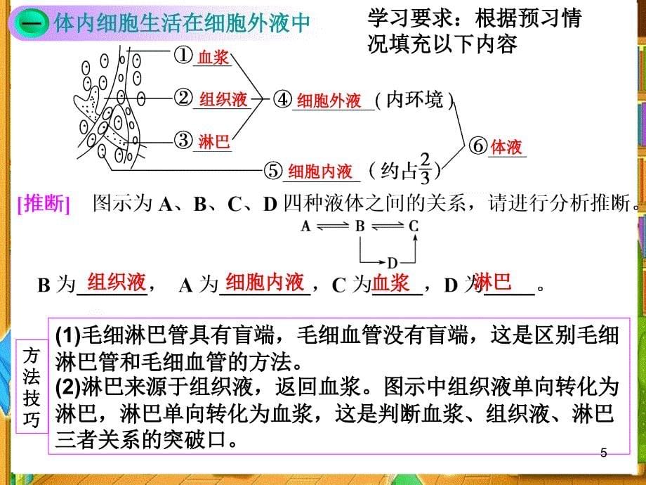 一轮复习细胞生活的环境最全最新ppt课件_第5页