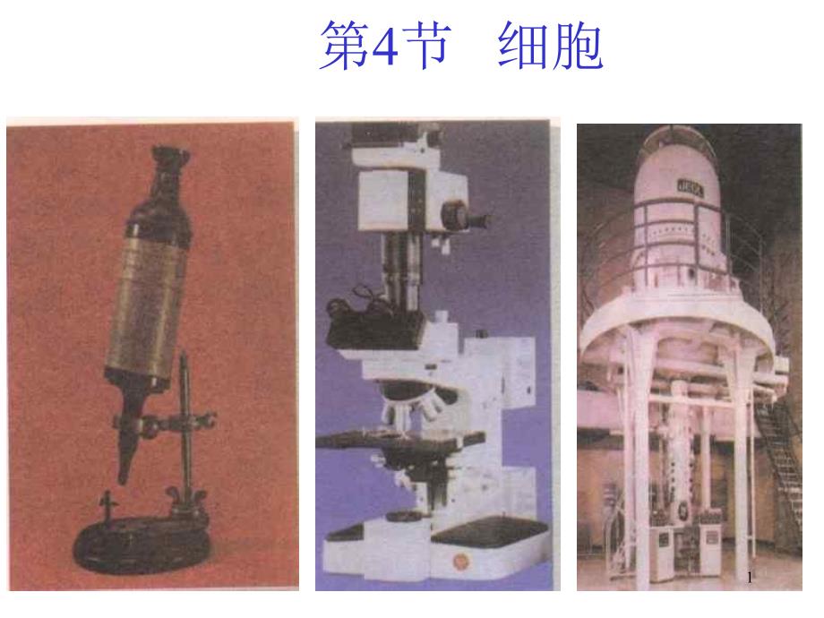 七年级科学显微镜1ppt课件_第1页