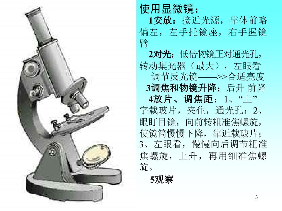 七年级科学显微镜1ppt课件_第3页