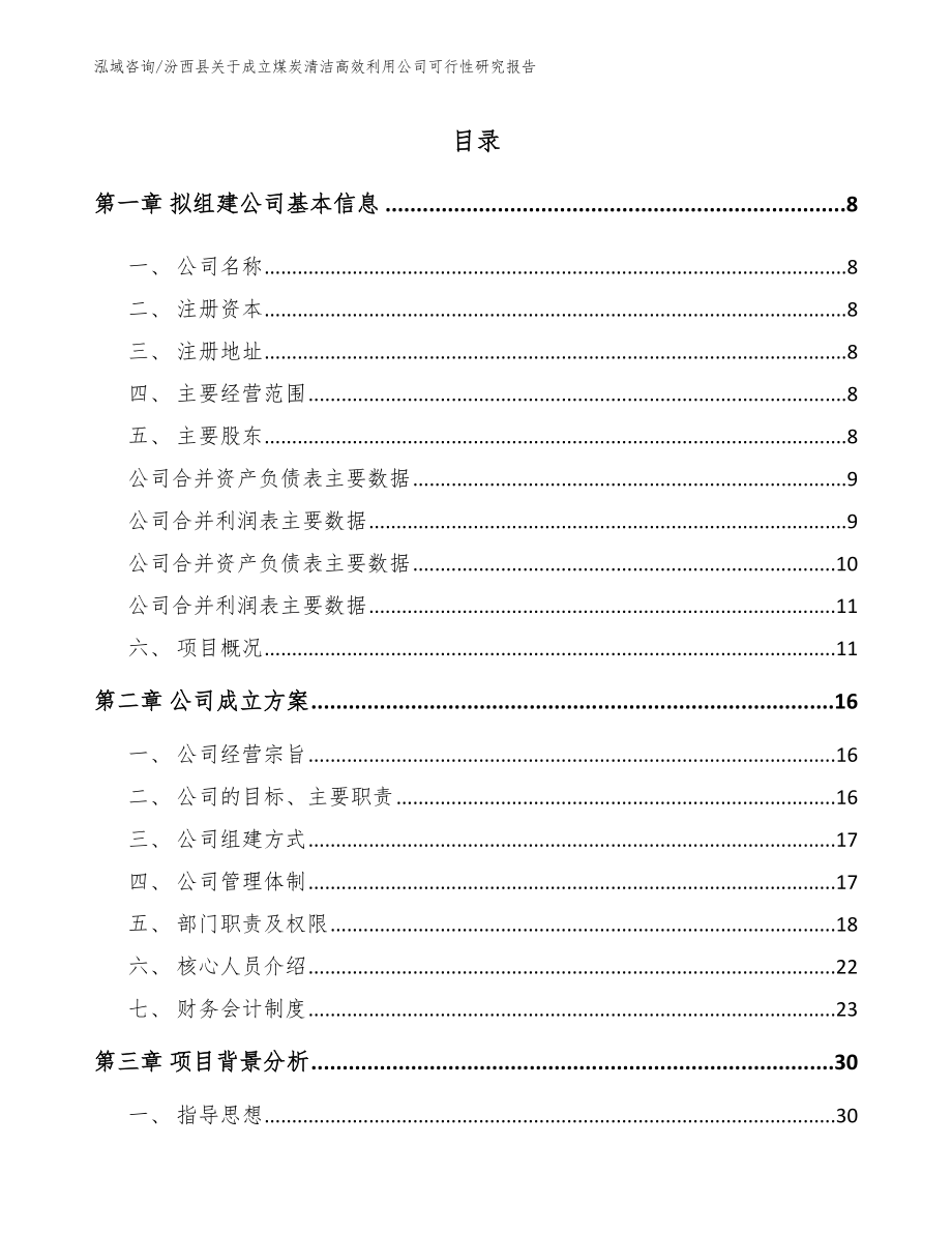 汾西县关于成立煤炭清洁高效利用公司可行性研究报告模板参考_第2页