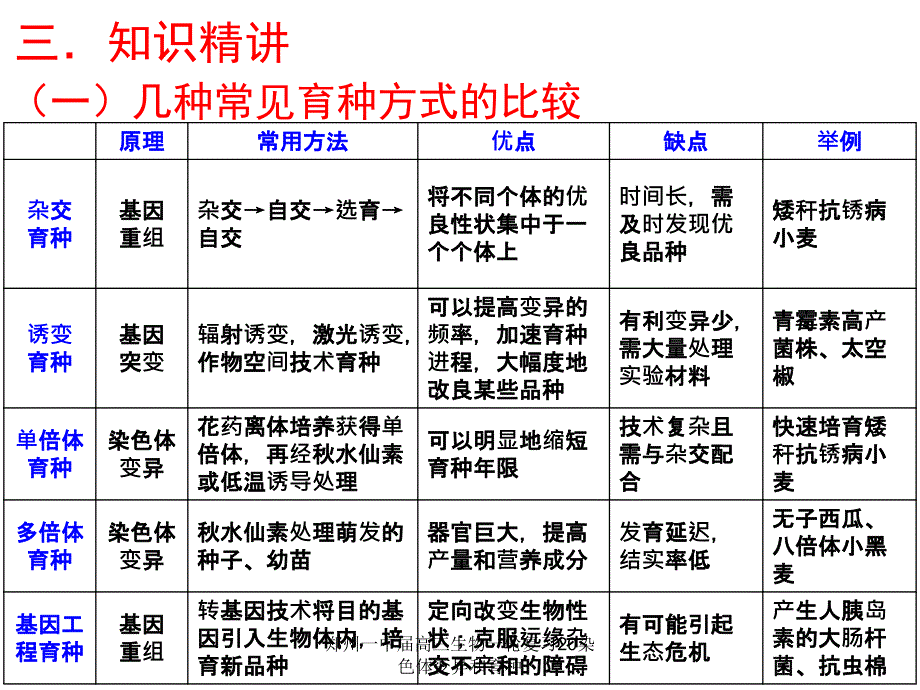 郑州一中届高三生物一轮复习20染色体变异和育种课件_第4页