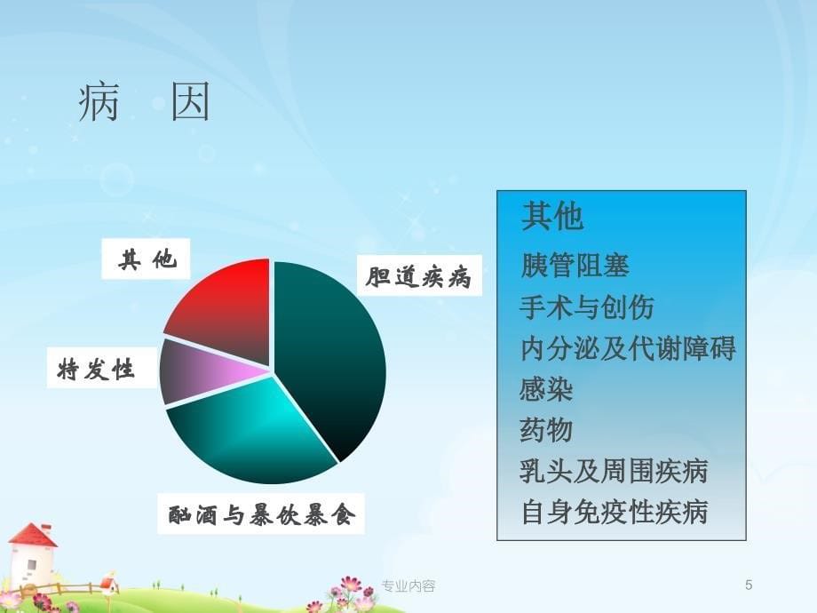 胰腺炎护理荟萃材料_第5页