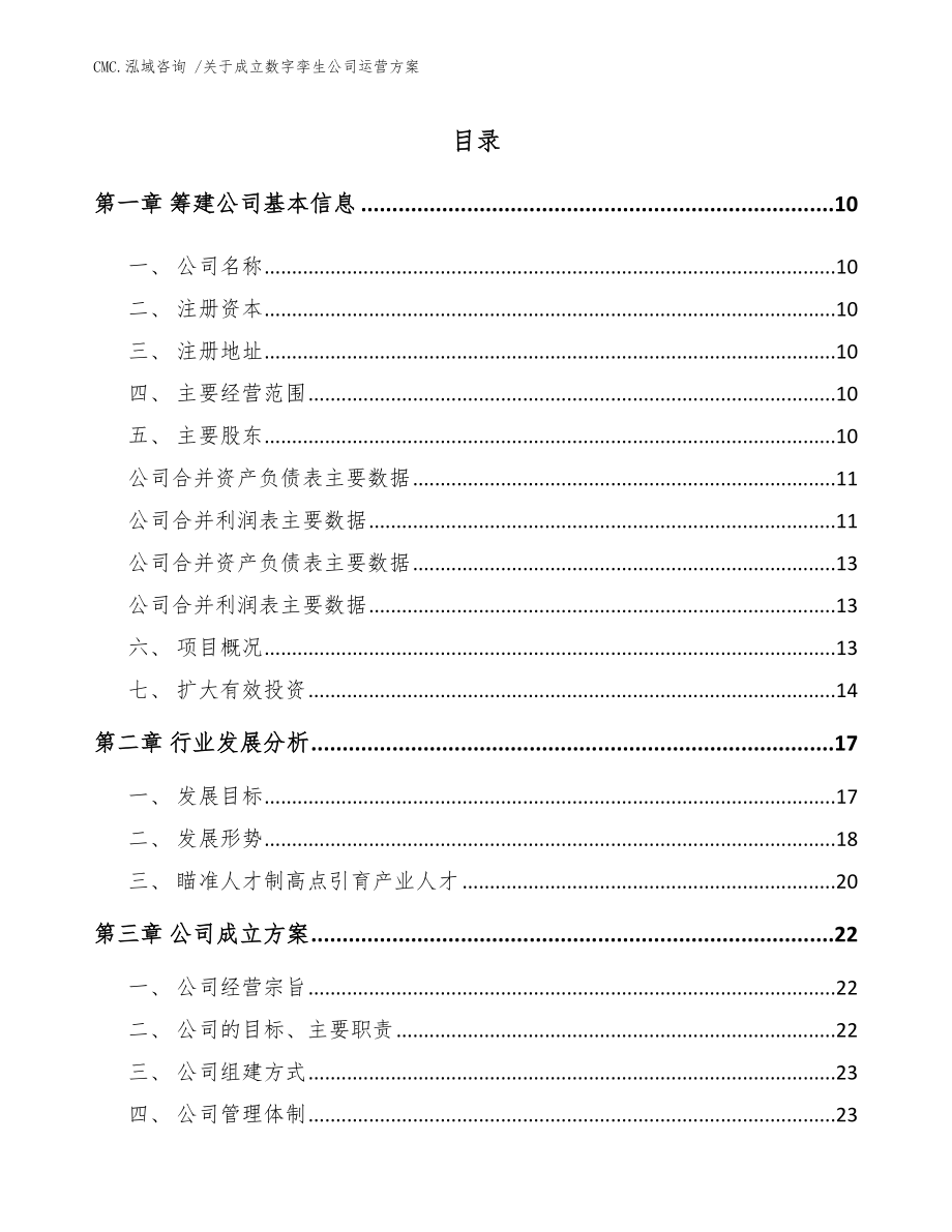 关于成立数字孪生公司运营方案（模板）_第4页