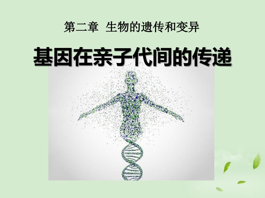 八年级生物基因在亲子代间的传递课件人教新课标版_第1页