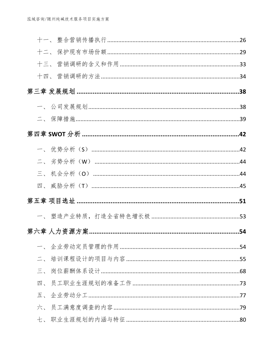 随州纯碱技术服务项目实施方案（模板）_第3页