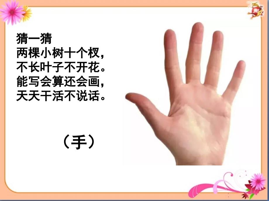 归类识字课画课堂PPT_第2页