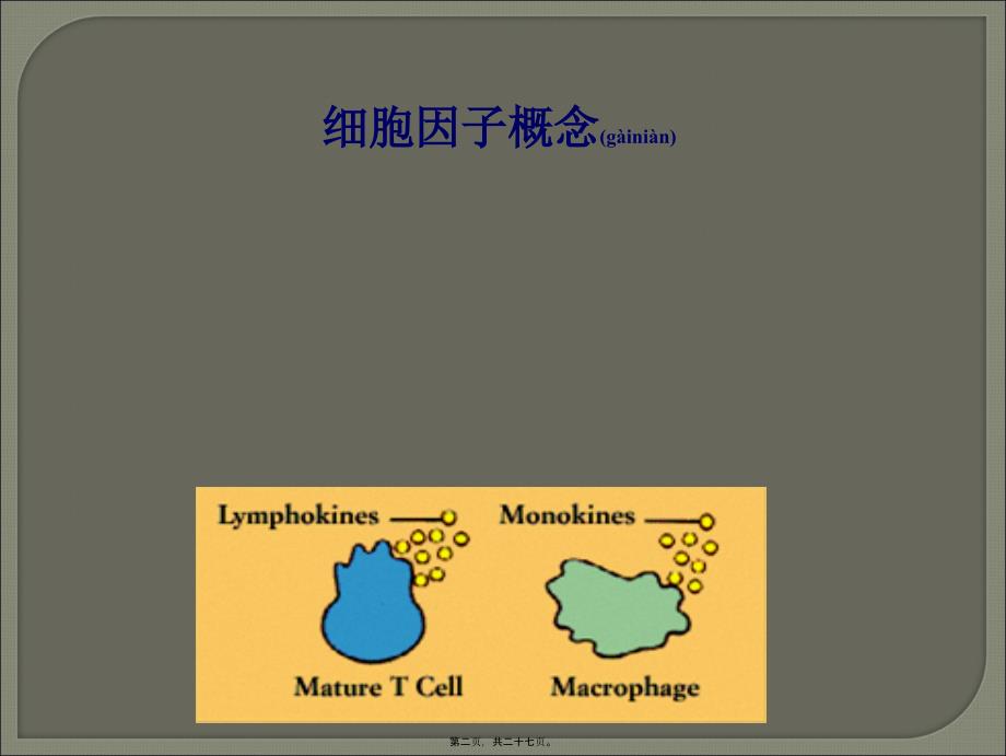 医学专题—细胞因子的简介_第2页