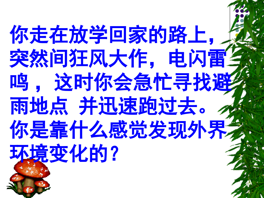 眼和视觉-公开课.ppt_第2页