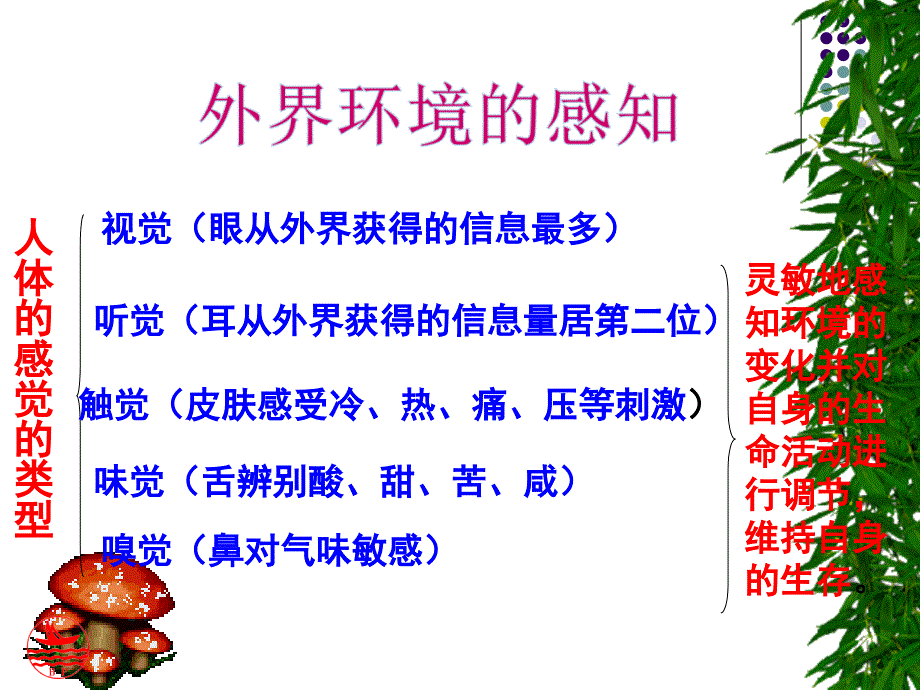 眼和视觉-公开课.ppt_第4页