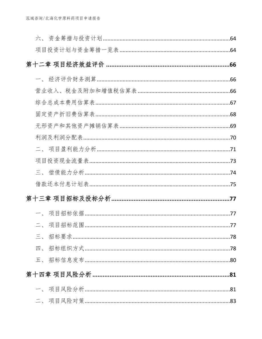 北海化学原料药项目申请报告（范文参考）_第5页