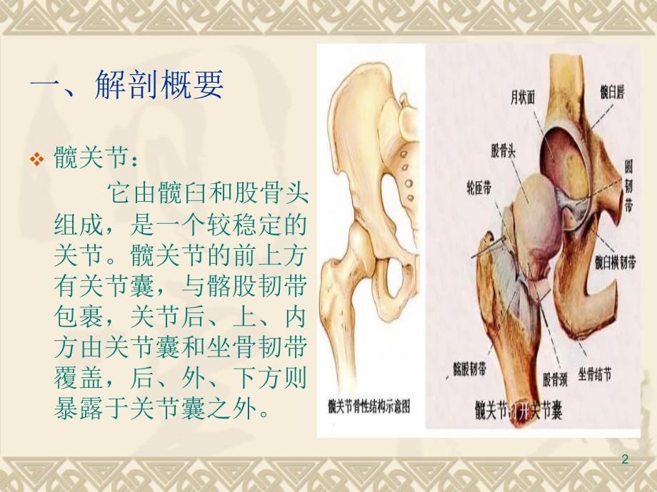 推荐精选关于股骨颈骨折保守治疗护理_第2页