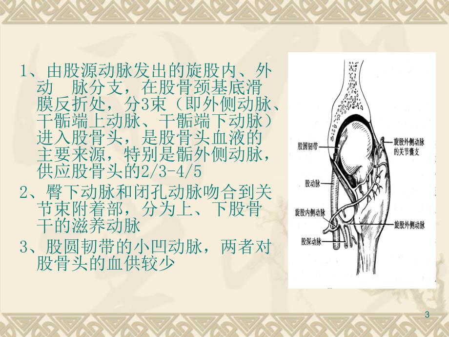 推荐精选关于股骨颈骨折保守治疗护理_第3页