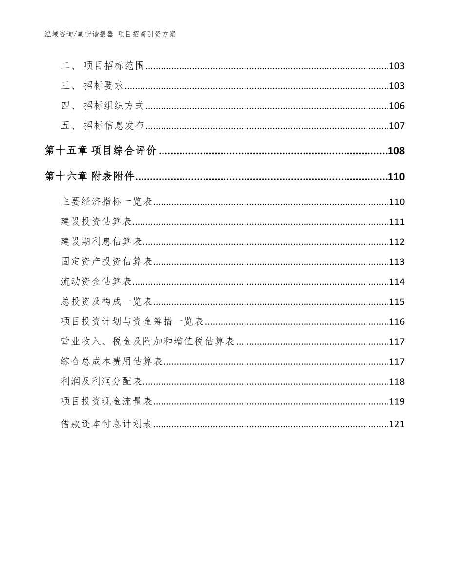 咸宁谐振器 项目招商引资方案（模板范文）_第5页