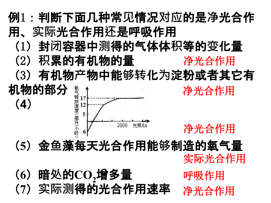 有关光合作用和呼吸作用的计算课件_第3页