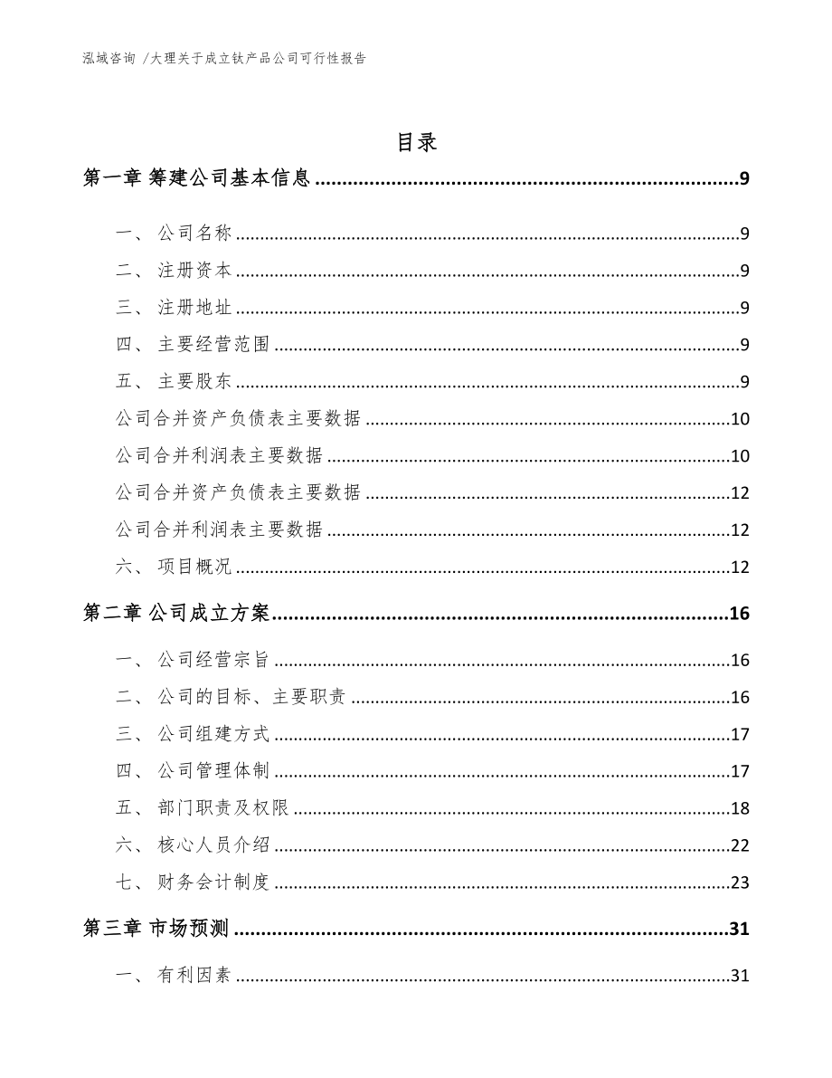 大理关于成立钛产品公司可行性报告范文模板(DOC 86页)_第2页