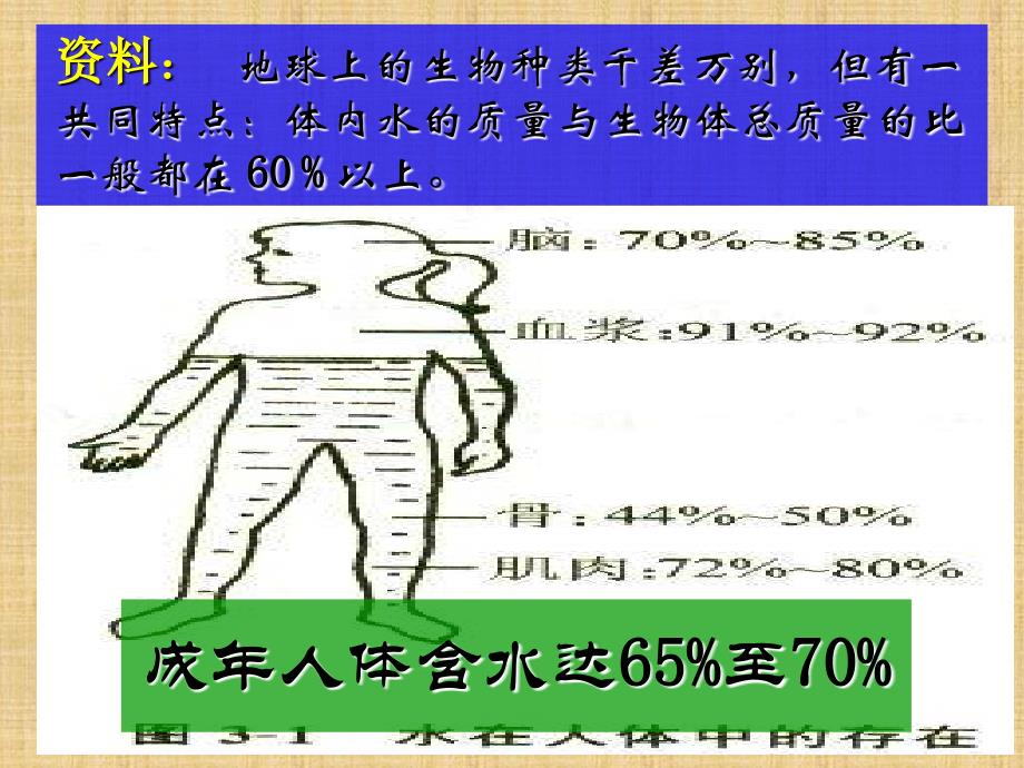 4.3水的组成1_第3页