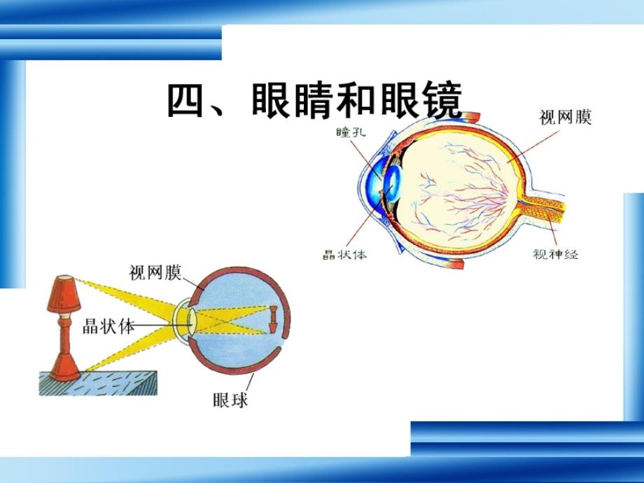 《眼睛与眼镜》PPT课件.ppt_第3页