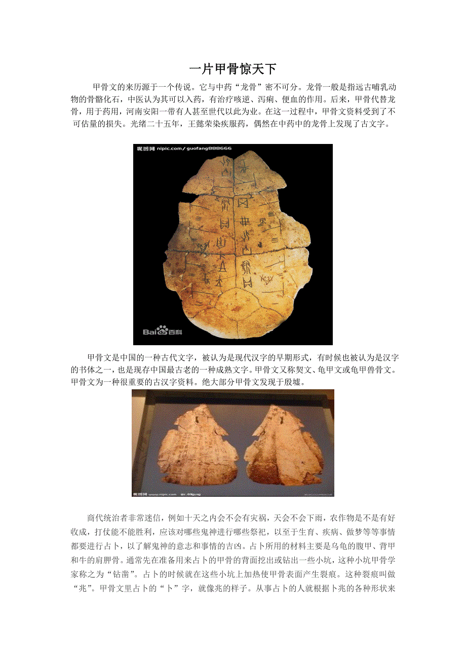 一片甲骨惊天下.doc_第1页