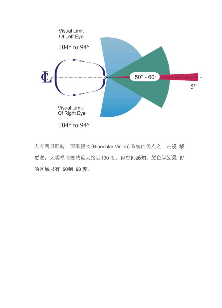 人眼的界限──中央凹、盲点和视域_第4页