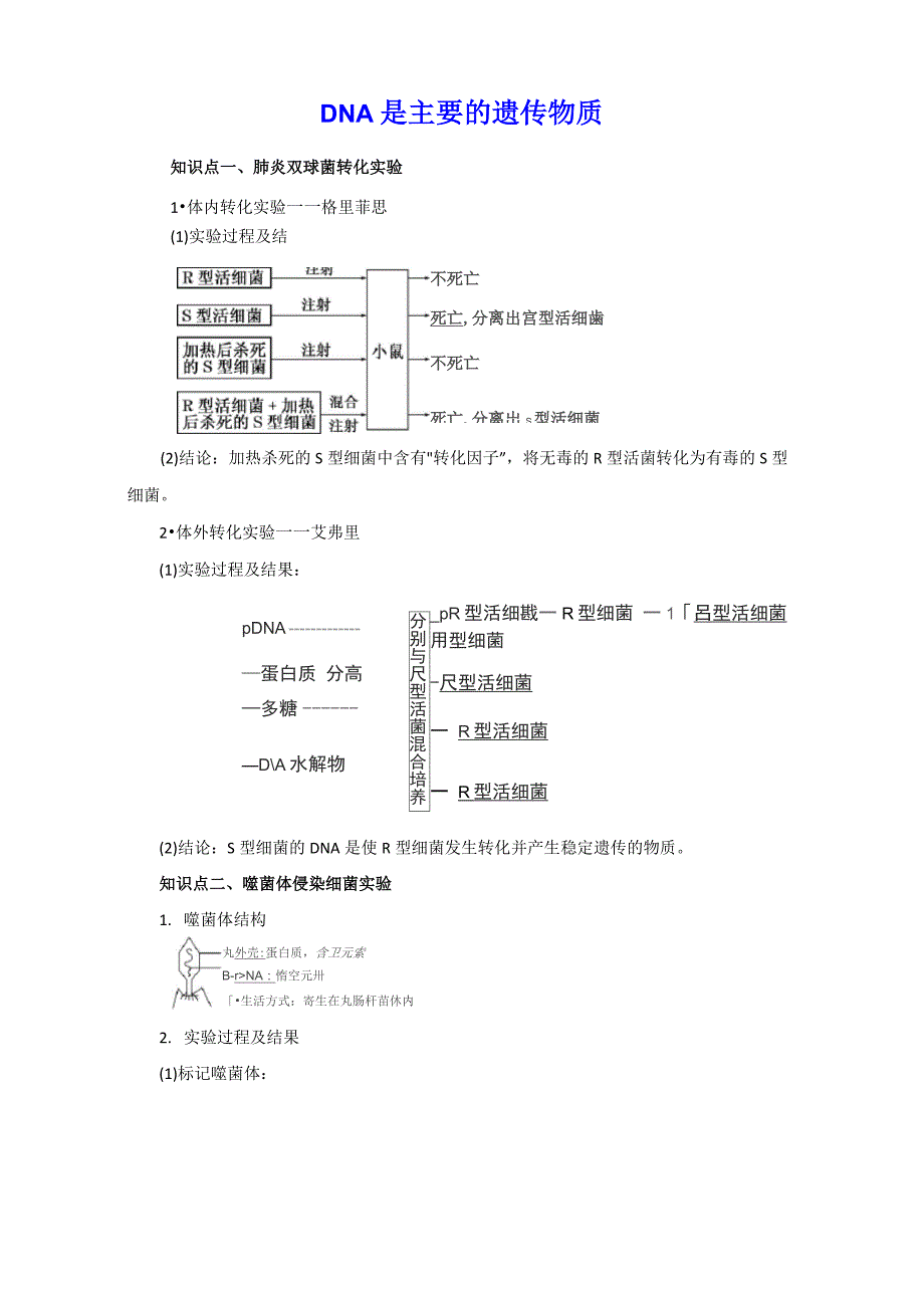 DNA是主要的遗传物质 知识点总结与重难点_第1页