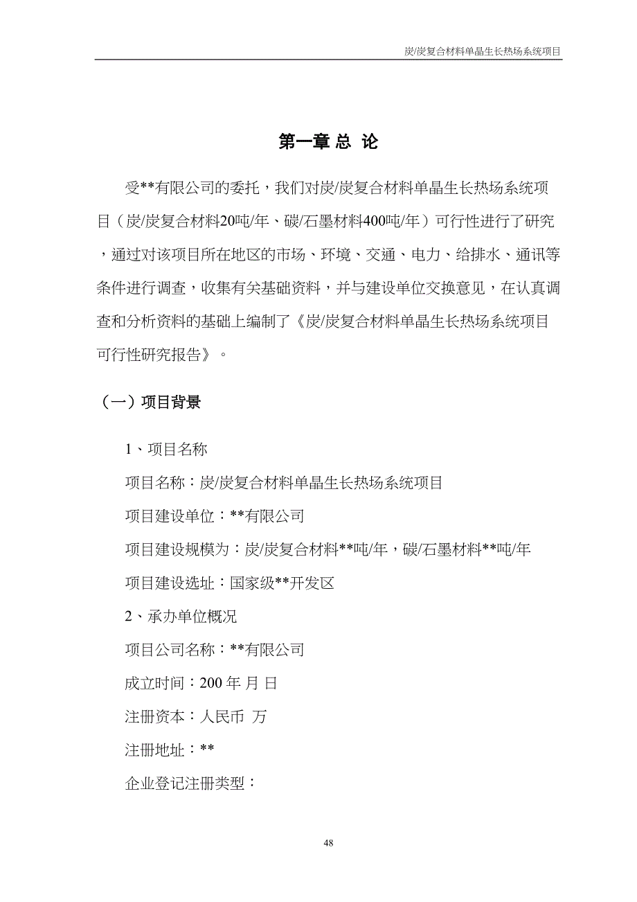 某高科技术新型复合材料可行性研究报告（天选打工人）.docx_第5页