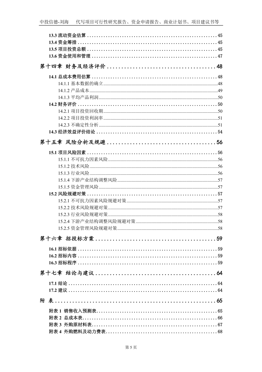 汽车仪表项目资金申请报告写作模板+定制代写_第5页