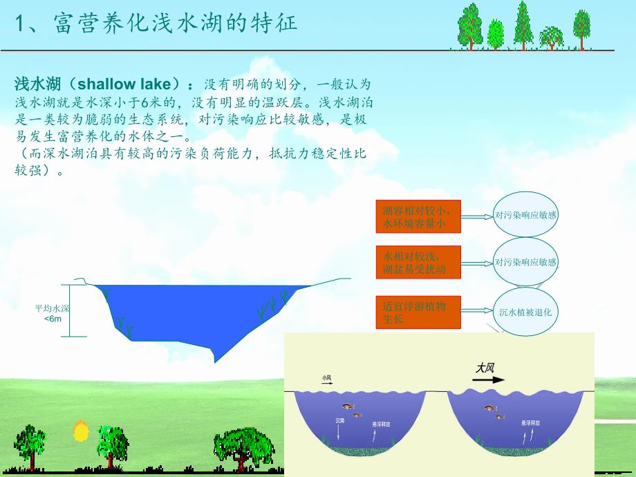 富营养化浅水湖泊沉水植被恢复技术研究PPT课件01_第3页