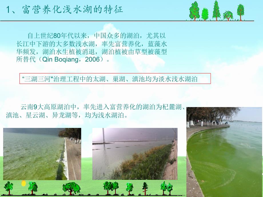 富营养化浅水湖泊沉水植被恢复技术研究PPT课件01_第4页