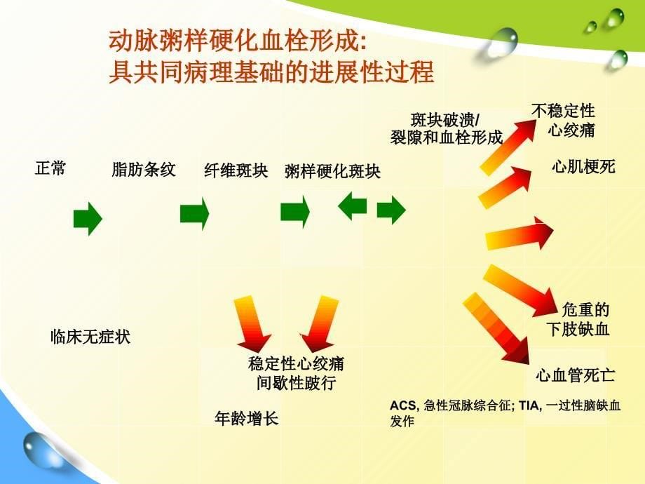 下肢动脉硬化闭塞症护理_第5页