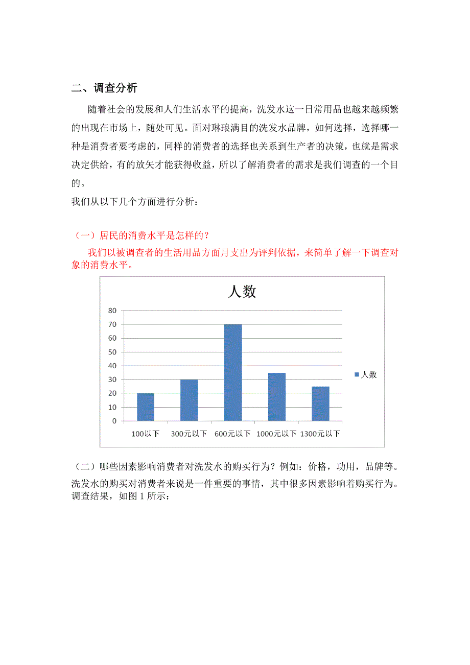 洗发水的市场调研报告_第2页