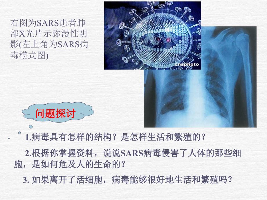 人教版教学课件从生物圈到细胞课件上课用.ppt_第4页