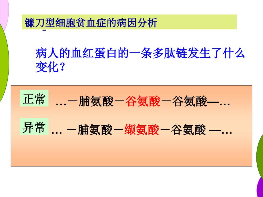 5.1基因突变和基因重组课件顾良国_第4页