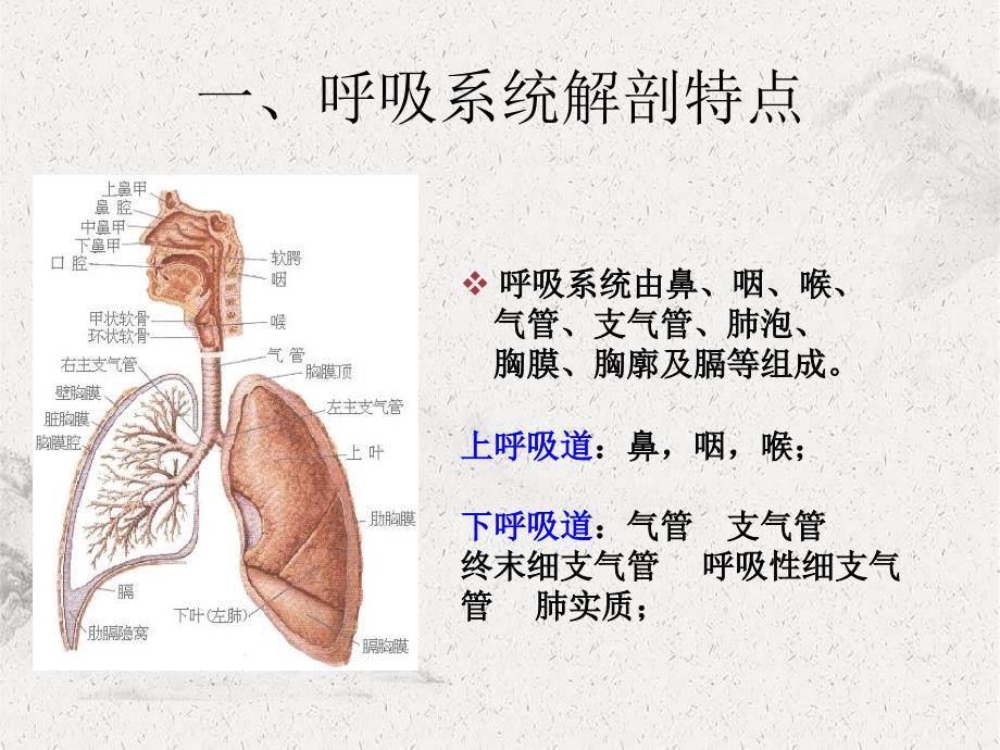 呼吸系统疾病病人的护理2节_第2页