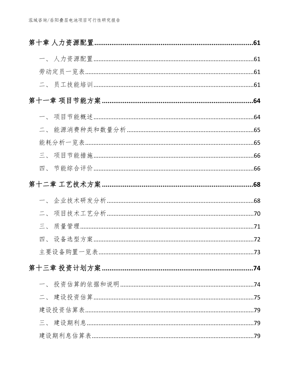 岳阳叠层电池项目可行性研究报告_范文模板_第3页