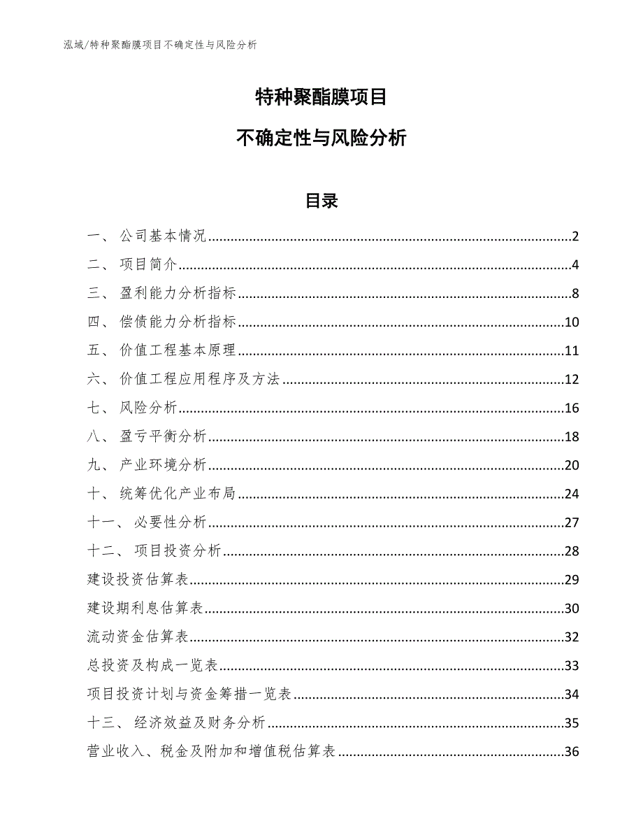 特种聚酯膜项目不确定性与风险分析_第1页