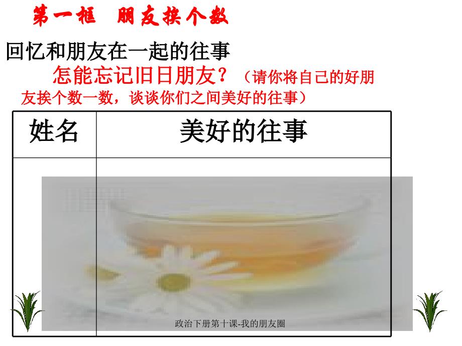 政治下册第十课-我的朋友圈课件_第2页